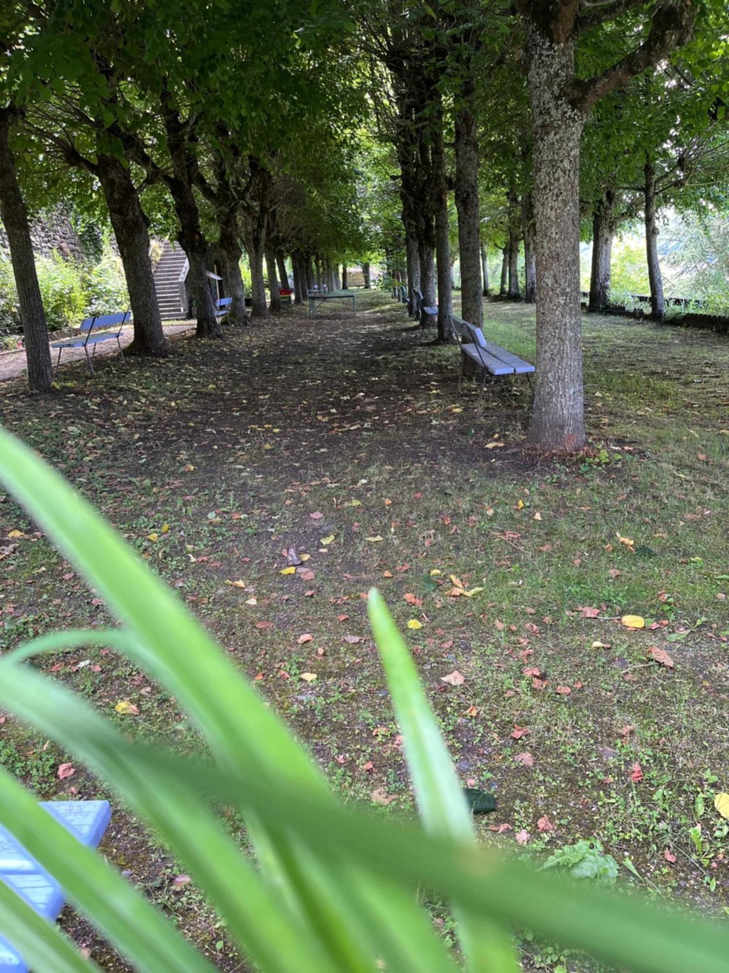 Logis Hotel Ancien Grand Seminaire Saint-Flour  Bagian luar foto
